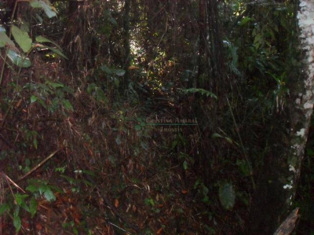 Terreno residencial à venda, Vargem Grande, Teresópolis. - Foto 8