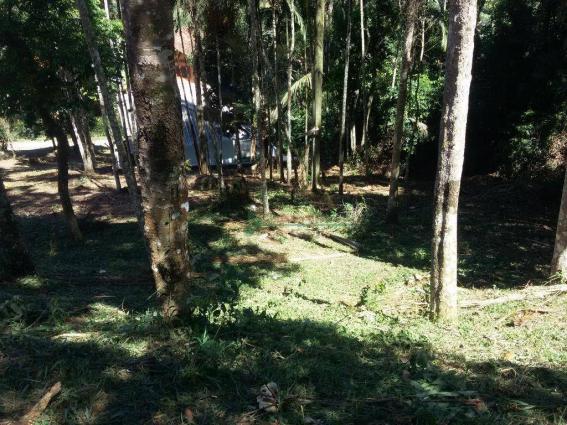 Terreno residencial à venda, Vargem Grande, Teresópolis. - Foto 2