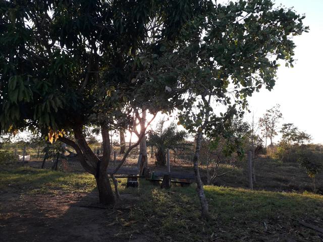 Sítio muito bom - Foto 3