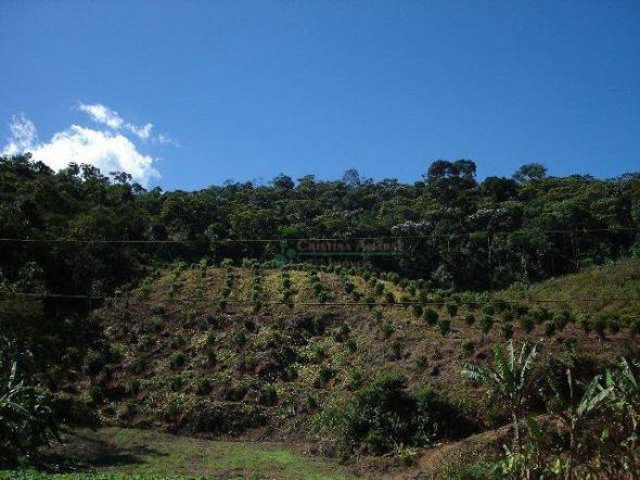 Área rural à venda, Providência, Teresópolis. - Foto 8