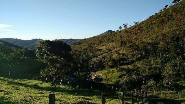 Fazenda rural à venda, Serra do Capim, Teresópolis. - Foto 14