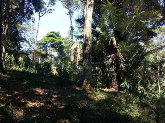 Terreno residencial à venda, Vargem Grande, Teresópolis. - Foto 10
