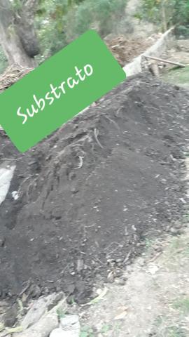 Substrato