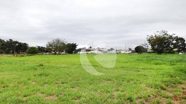 Terreno para alugar, 18000m² - Jardim São Jorge - Londrina/PR - Foto 4