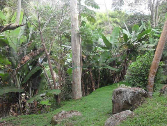 Sitio Teresópolis - Foto 16