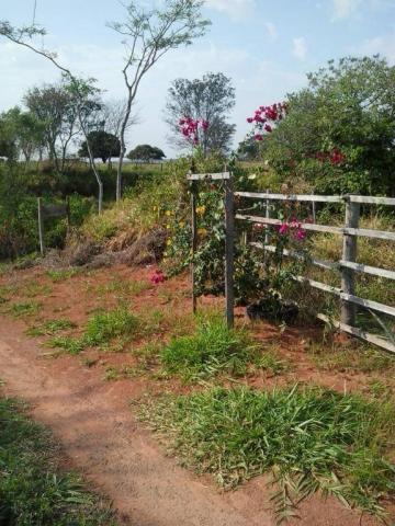 Chácara à venda, 20000 m² por R$ 350.000,00 - Zona Rural - Presidente Venceslau/SP - Foto 2
