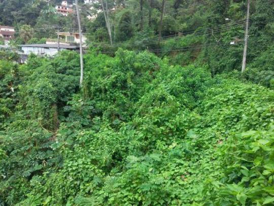 Terreno residencial à venda, Parque do Ingá, Teresópolis. - Foto 6