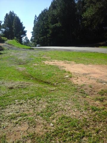 Chácara no asfalto - Mandirituba - 10.000M2 - Casa seminova 70 m2