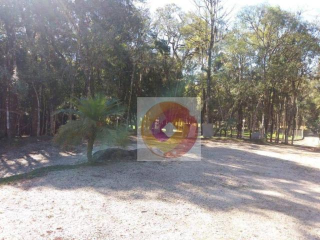 Chácara à venda, 10000 m² por R$ 650.000 - Zona Rural - Fazenda Rio Grande/PR - Foto 8