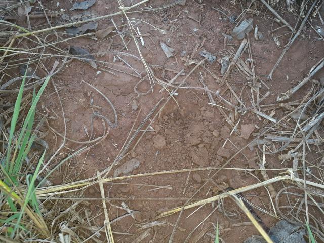 Chácara em Acorizal 38,2 hectares - Foto 17