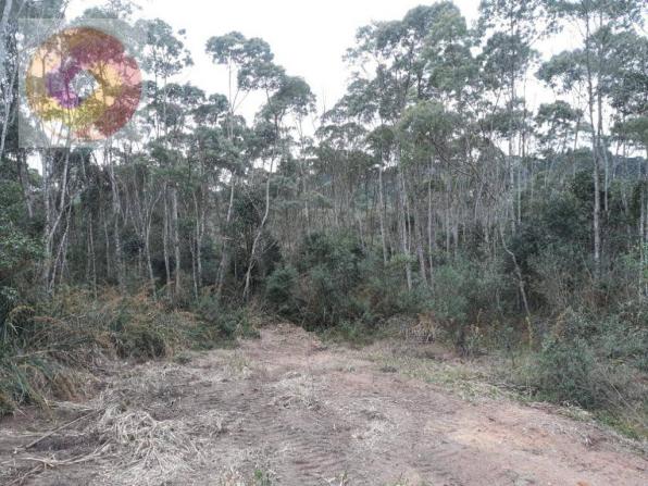 Chácara à venda, 23000 m² por R$ 180.000 - Palmerinha - Campina Grande do Sul/PR - Foto 15