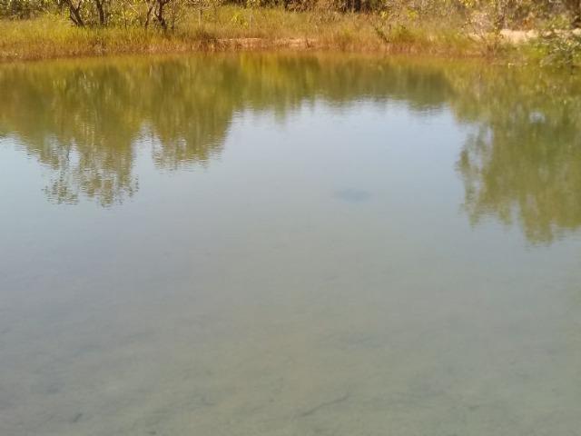 Chácara em Acorizal 38,2 hectares - Foto 2