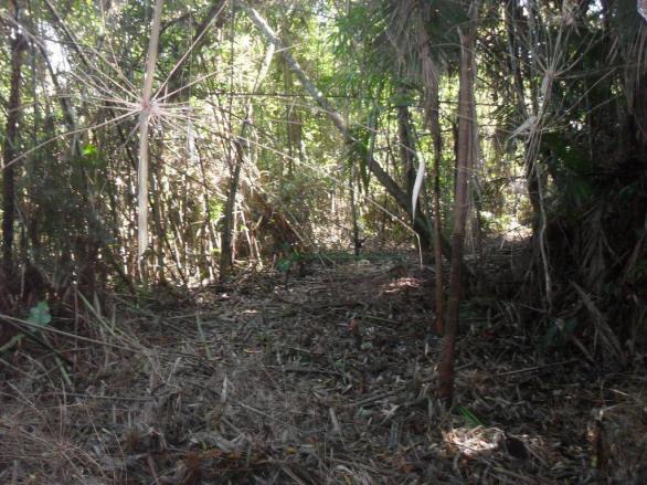 Terreno residencial à venda, Vargem Grande, Teresópolis. - Foto 11
