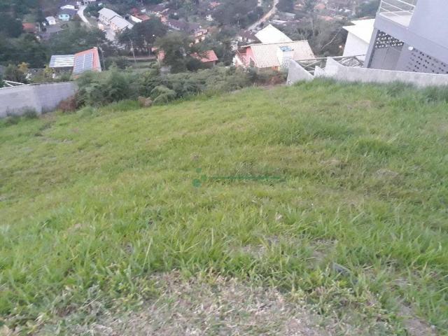 Terreno residencial à venda, Albuquerque, Teresópolis. - Foto 3