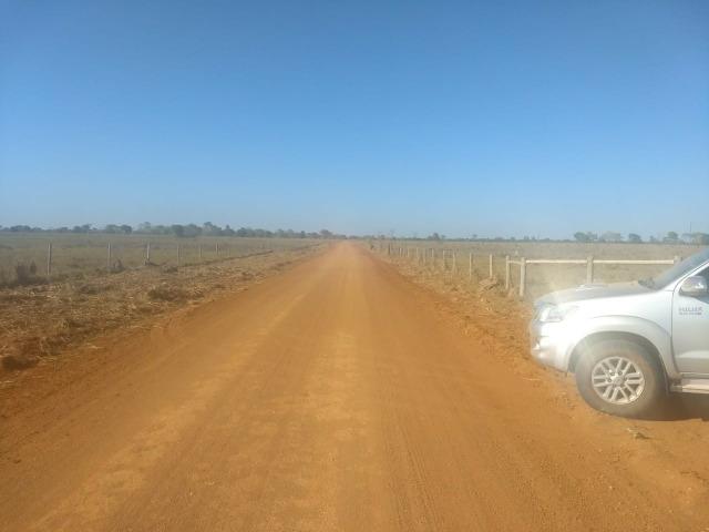 Fazenda Cocalinho MT - Foto 2