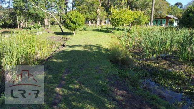 Chácara residencial à venda, Faxina, São José dos Pinhais. - Foto 3
