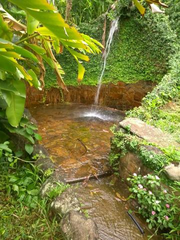 Linda fazenda com nascente própria em Jaconé, Maricá - Foto 5