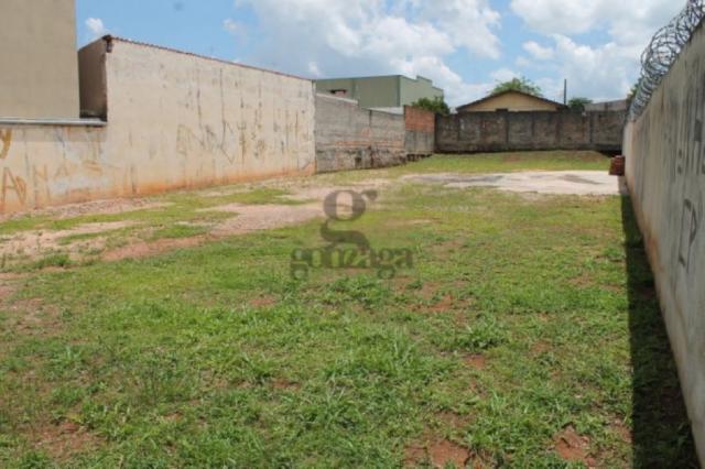 Terreno para alugar em Pinheirinho, Curitiba cod:21557001 - Foto 6