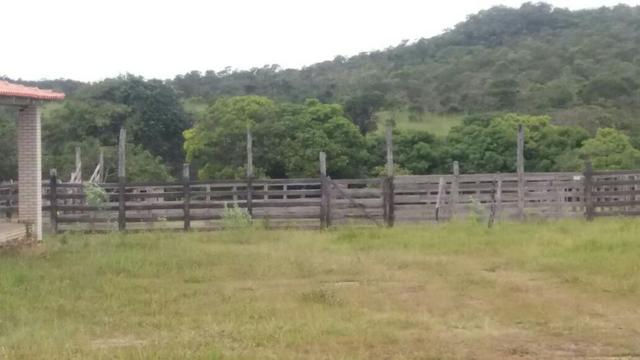 Fazenda em São João da Aliança - Foto 14