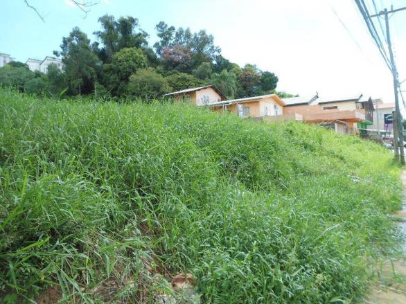 Terreno residencial à venda, rondônia, novo hamburgo. - Foto 7