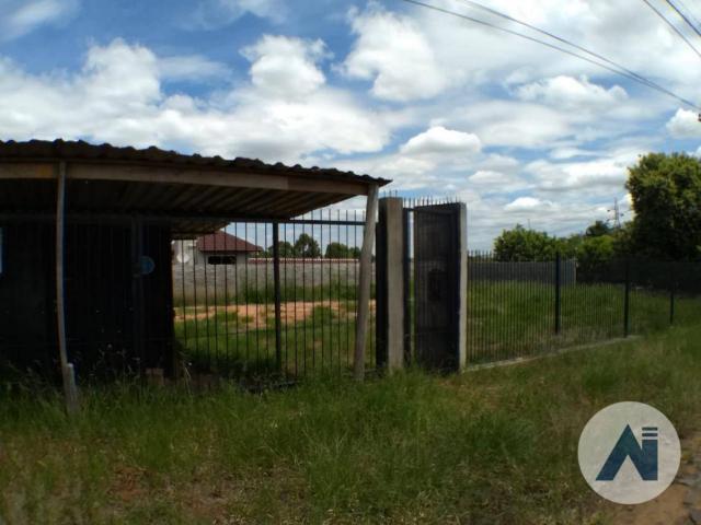 Terreno residencial à venda, rincao dos ilheus, estância velha. - Foto 4