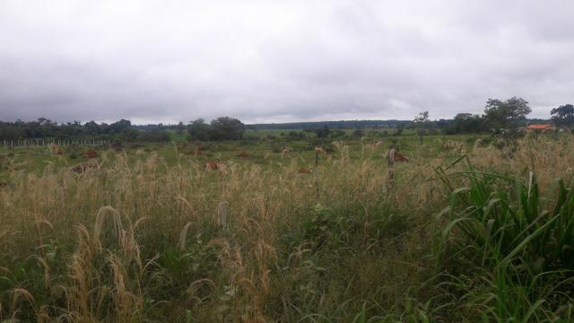 9000 m2, área Urbana Comercial Nova Olímpia?MT, aceita-se permuta - Foto 2