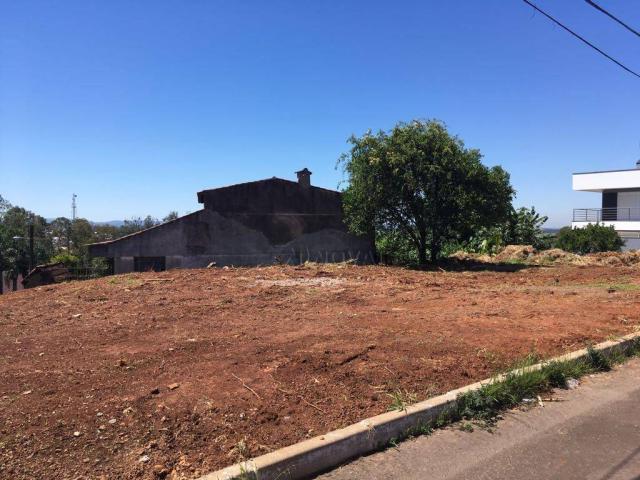 Terreno residencial à venda, petrópolis, novo hamburgo.