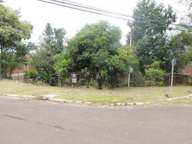 Terreno residencial à venda, mauá, novo hamburgo. - Foto 6