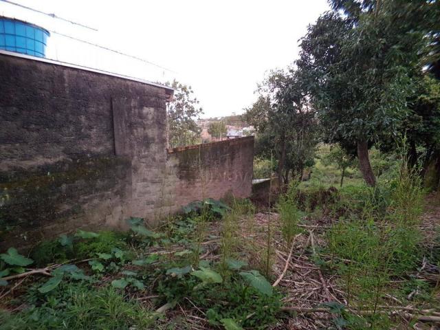 Terreno residencial à venda, rondônia, novo hamburgo. - Foto 4