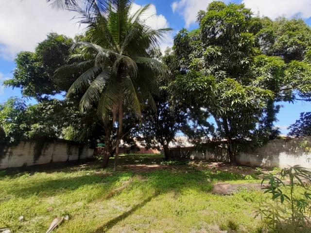 Messejana - Terreno 1.967m² na Av. Perimetral - Foto 10