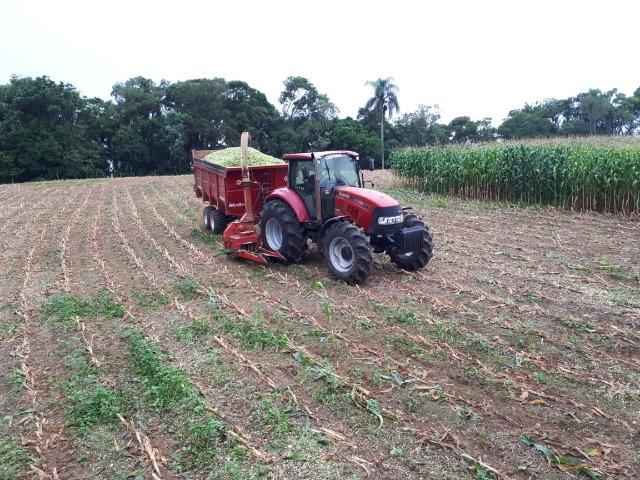 Carreta agrícola brasimp 8 toneladas - Foto 4