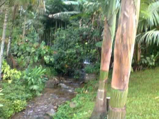 De R$ 680,000 por R$ 580,000/Casa condomínio rural - Foto 3