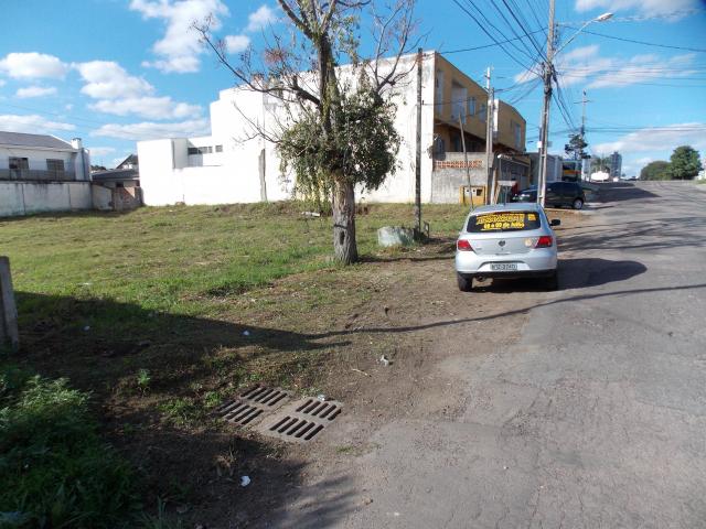 Loteamento/condomínio à venda em Capão raso, Curitiba cod:TE0147 - Foto 5