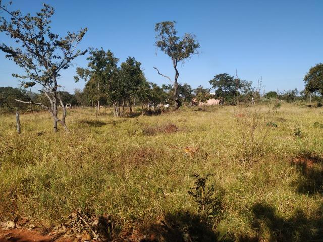 Vendo Lote Caldas Novas Parque das Laranjeiras - Foto 2