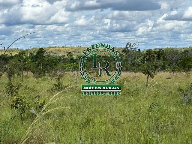 Fazenda Arrendamento Lavoura Tocantins - Foto 4