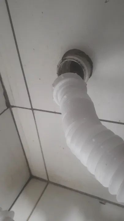 Marido de Aluguel.  Técnico formado 