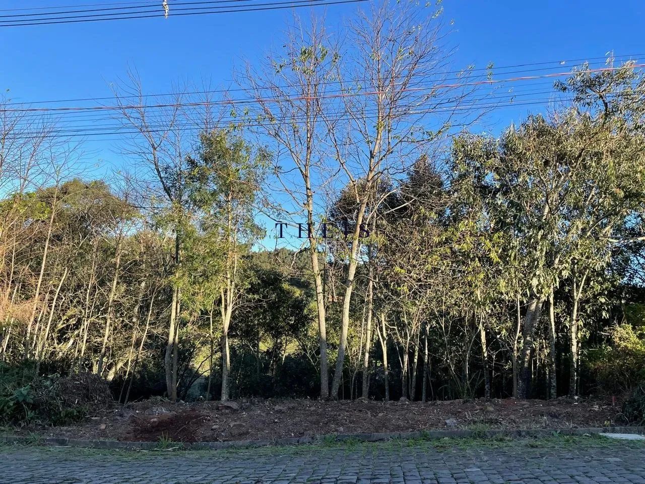 Terreno à venda no bairro São Luiz
