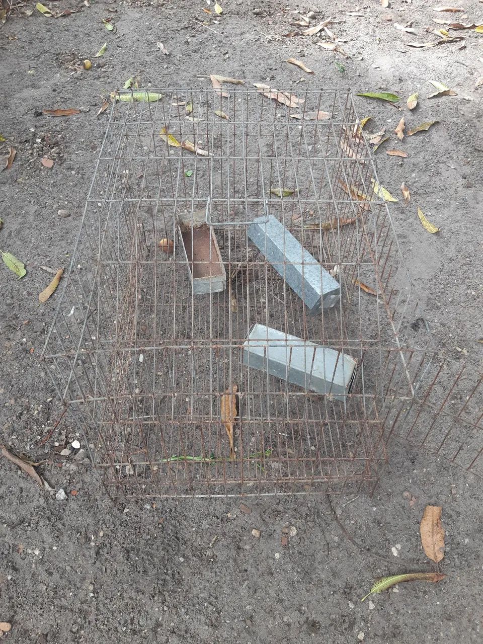 Gaiola de ferro  - Foto 2