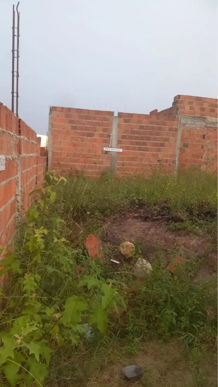 Terreno na cidade nova  - Foto 3
