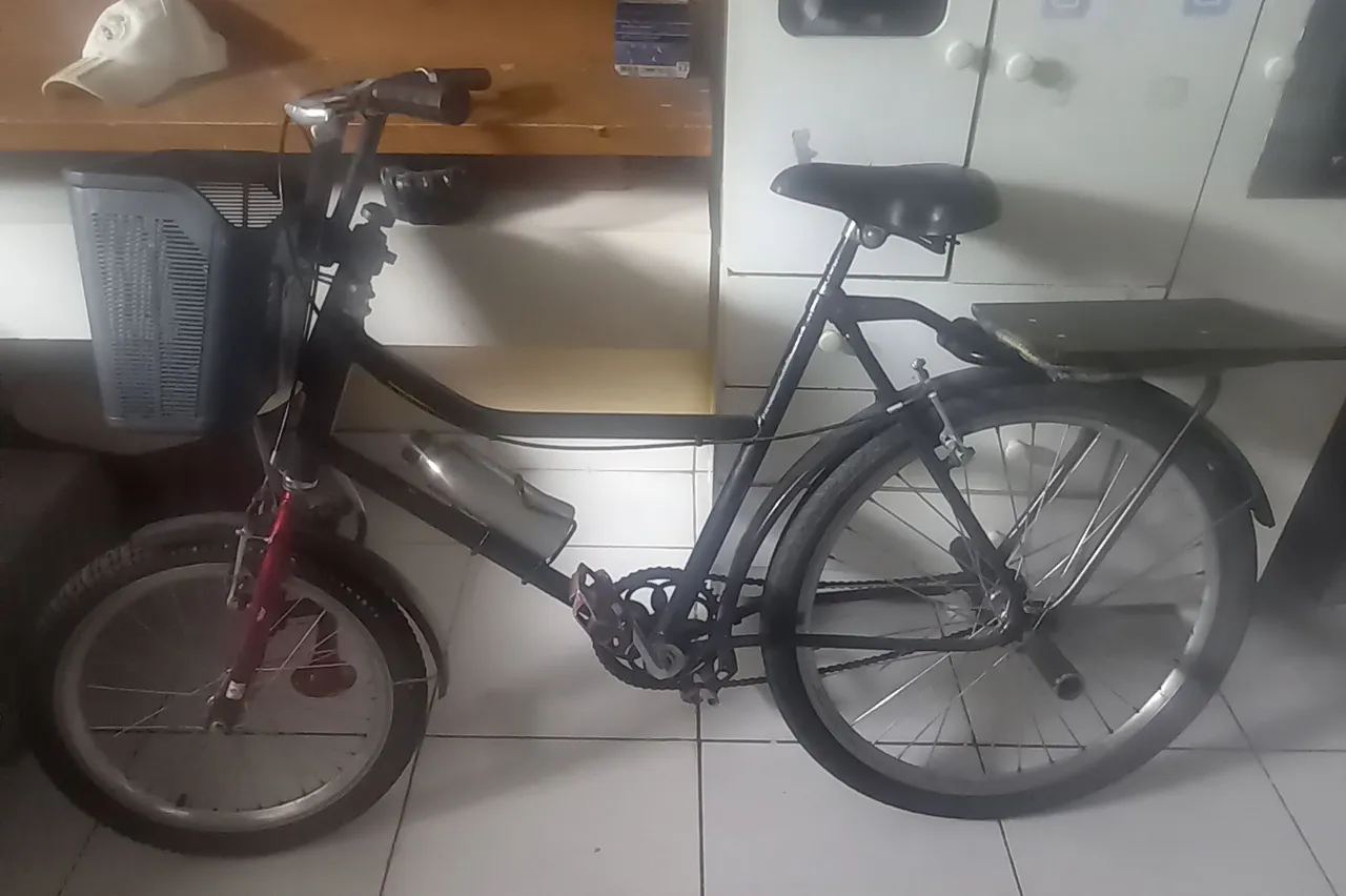 Bicicleta com cesta e bagageiro
