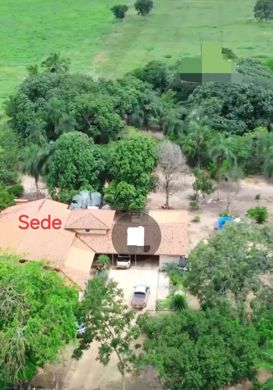 FAZENDA A VENDA abaixo do preço de mercado - Foto 5