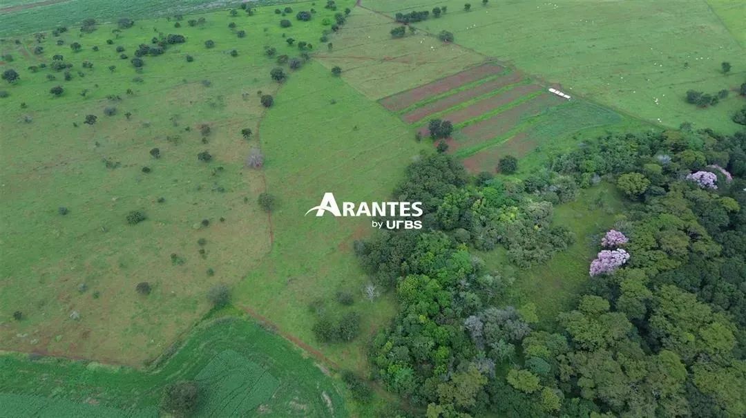 Fazenda com 4,5alq. à venda no Área Rural de Uberlândia - Foto 3