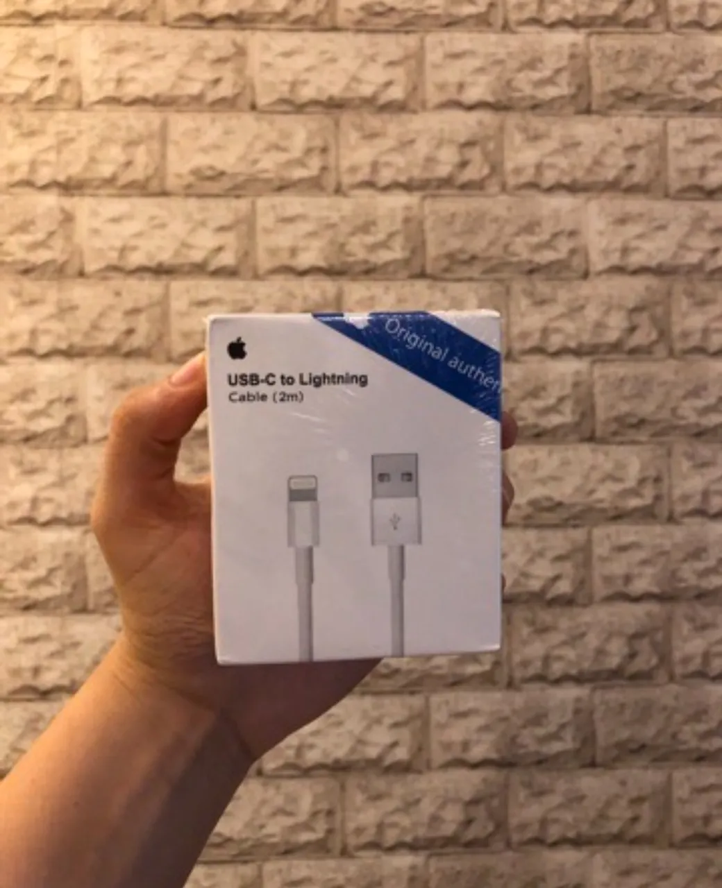 Cabo USB iPhone 2M original Apple 