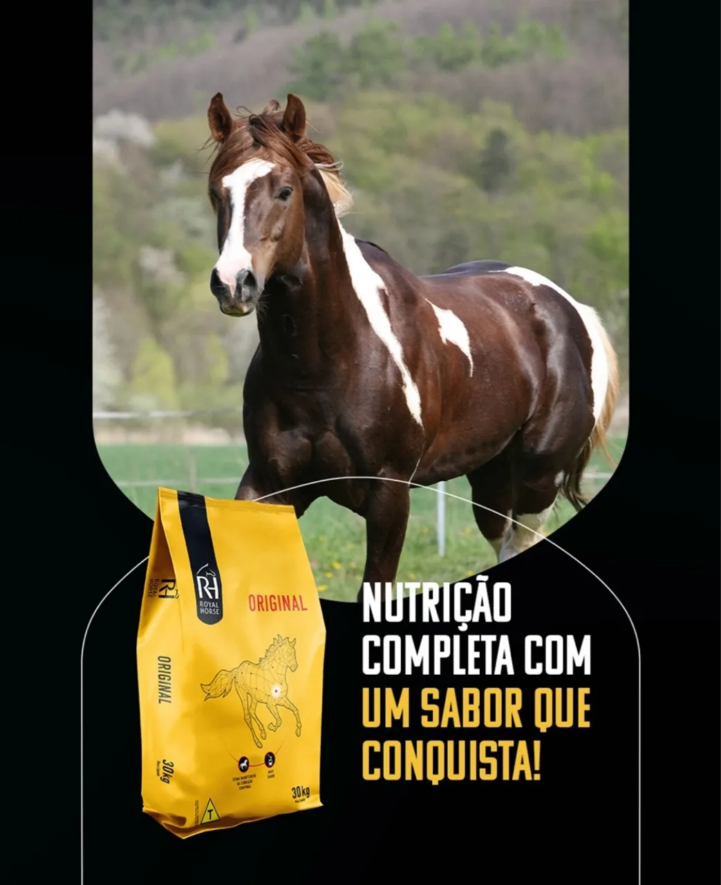 Promoção. Ração Royal Horse Original 30kg por apenas R$ 79,00 !!