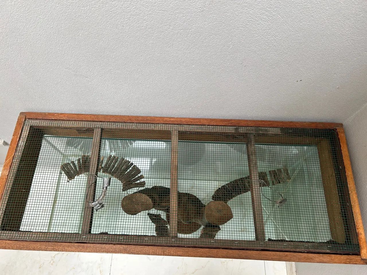 Terrário para Roedores - Foto 2