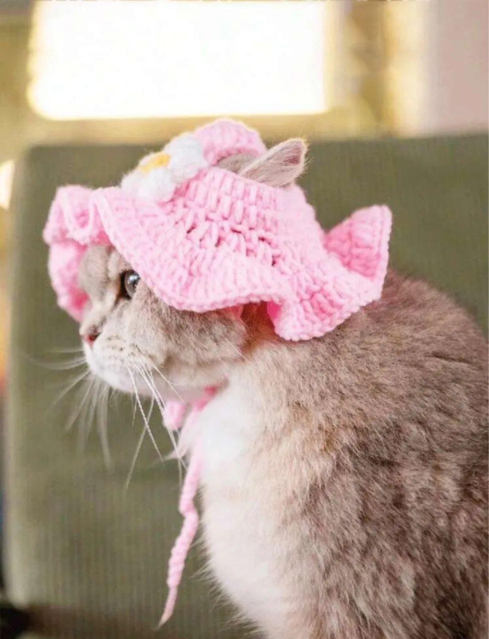 Chapeuzinho em crochê para pets $50 - Foto 4