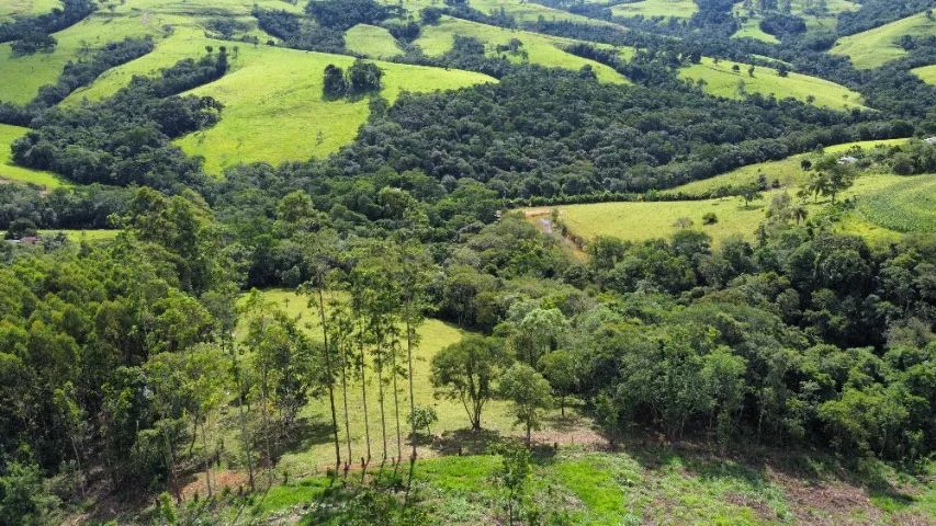 Sítio 102.850mts Rico em Água (Entre Ventania x Curiúva) - Foto 5