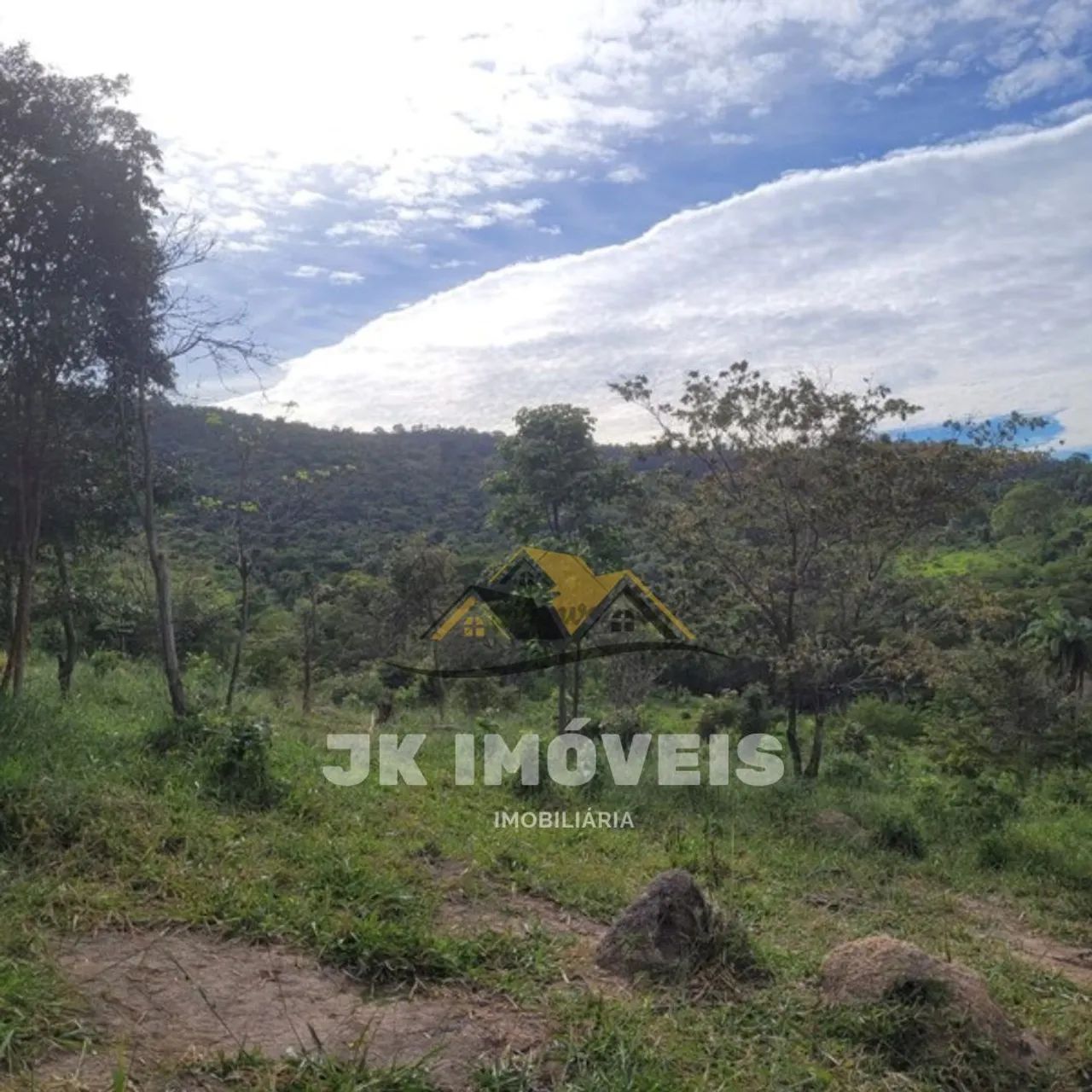 Fazenda toda formada, 41 hectares  - Foto 4