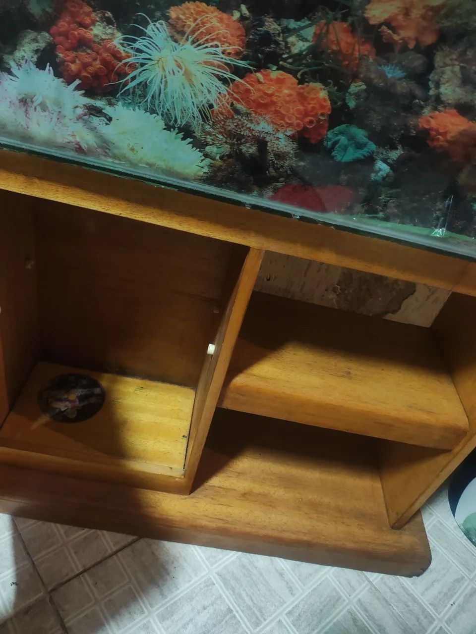 Aquário completo 180 litros pra retirar 