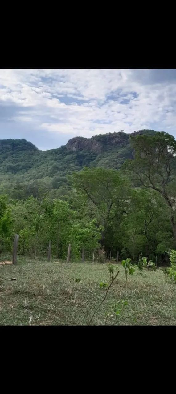 Vendo 97 hectares em Corguinho MS.